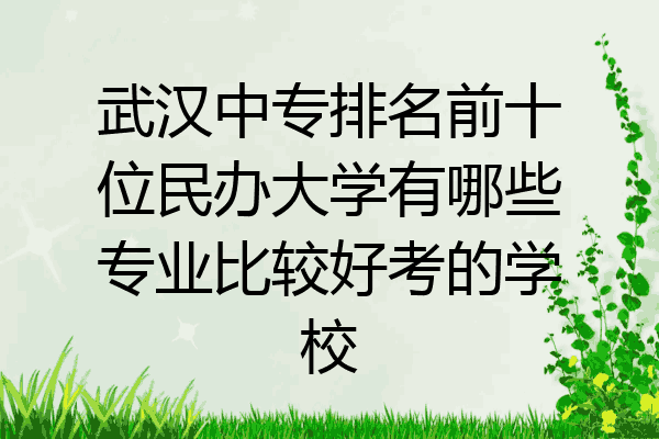 武汉中专排名前十位民办大学有哪些专业比较好考的学校