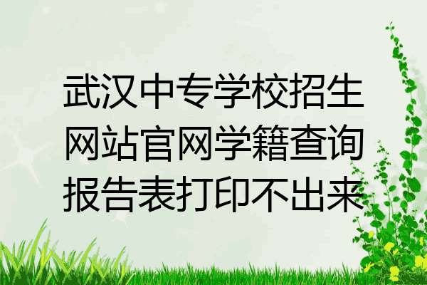 武汉中专学校招生网站官网学籍查询报告表打印不出来