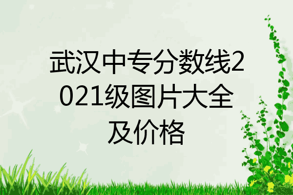 武汉中专分数线2021级图片大全及价格
