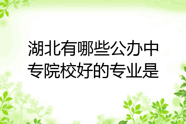 湖北有哪些公办中专院校好的专业是