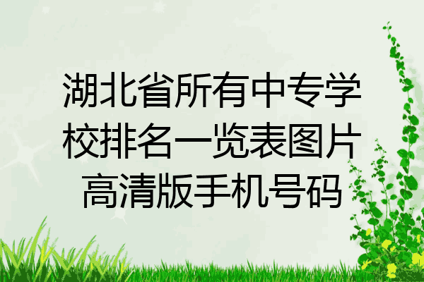 湖北省所有中专学校排名一览表图片高清版手机号码