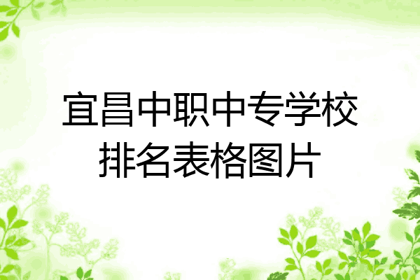 宜昌中职中专学校排名表格图片