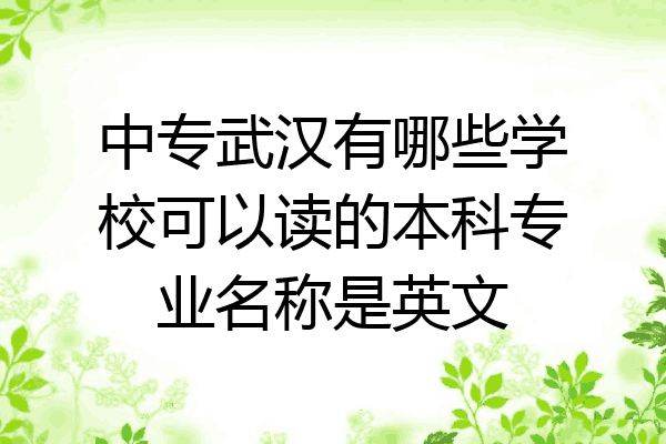 中专武汉有哪些学校可以读的本科专业名称是英文