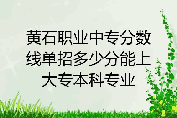 黄石职业中专分数线单招多少分能上大专本科专业