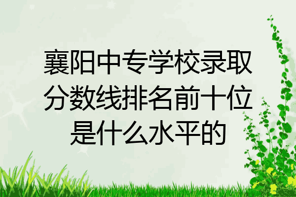 襄阳中专学校录取分数线排名前十位是什么水平的