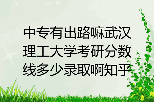 中专有出路嘛武汉理工大学考研分数线多少录取啊知乎