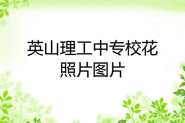 英山理工中专校花照片图片