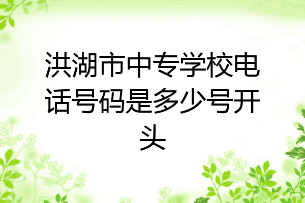 洪湖市中专学校电话号码是多少号开头