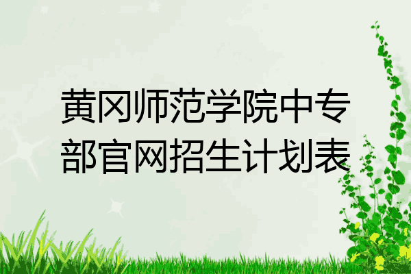 黄冈师范学院中专部官网招生计划表