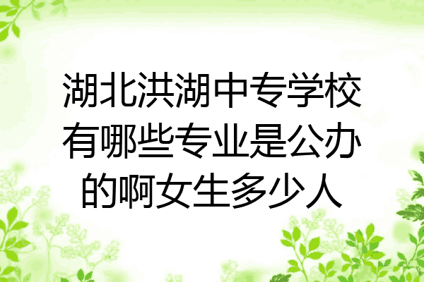 湖北洪湖中专学校有哪些专业是公办的啊女生多少人