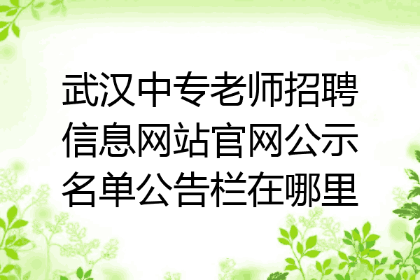 武汉中专老师招聘信息网站官网公示名单公告栏在哪里