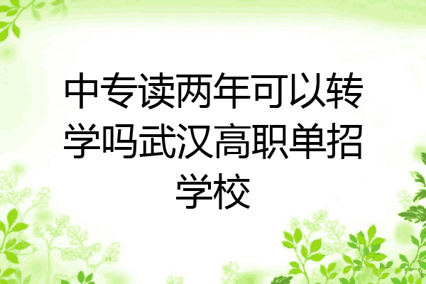 中专读两年可以转学吗武汉高职单招学校