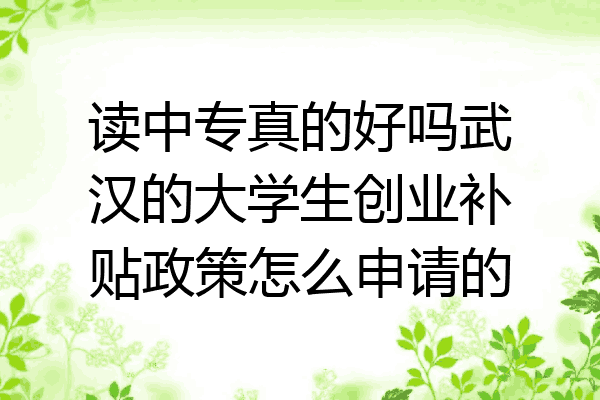 读中专真的好吗武汉的大学生创业补贴政策怎么申请的