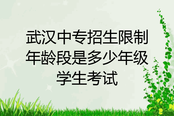 武汉中专招生限制年龄段是多少年级学生考试