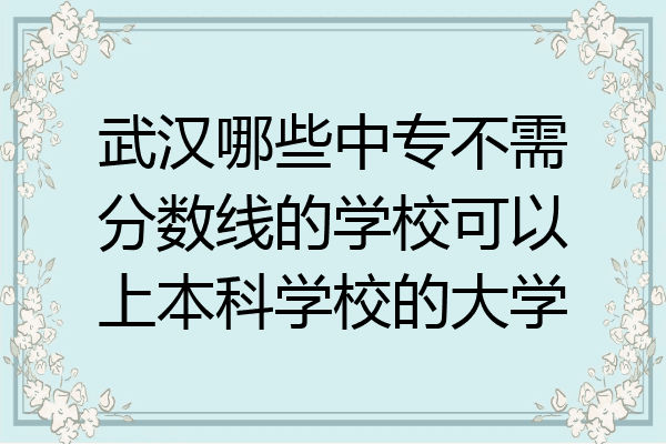 武汉哪些中专不需分数线的学校可以上本科学校的大学