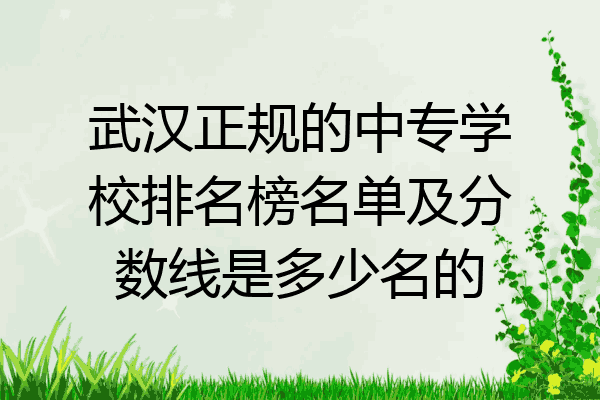 武汉正规的中专学校排名榜名单及分数线是多少名的