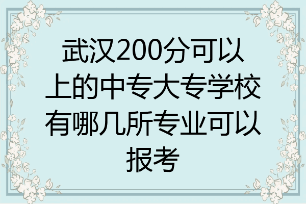 武汉200分可以上的中专大专学校有哪几所专业可以报考