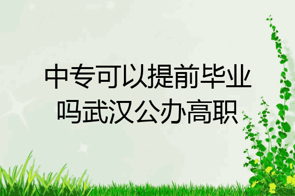 中专可以提前毕业吗武汉公办高职