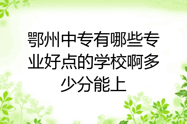 鄂州中专有哪些专业好点的学校啊多少分能上