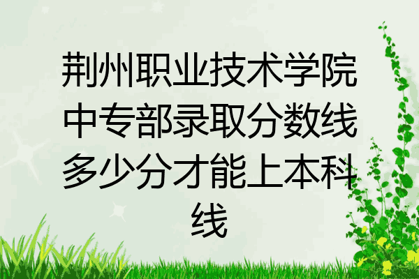 荆州职业技术学院中专部录取分数线多少分才能上本科线
