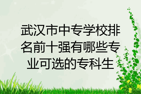 武汉市中专学校排名前十强有哪些专业可选的专科生