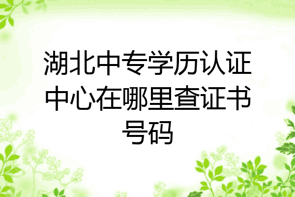 湖北中专学历认证中心在哪里查证书号码