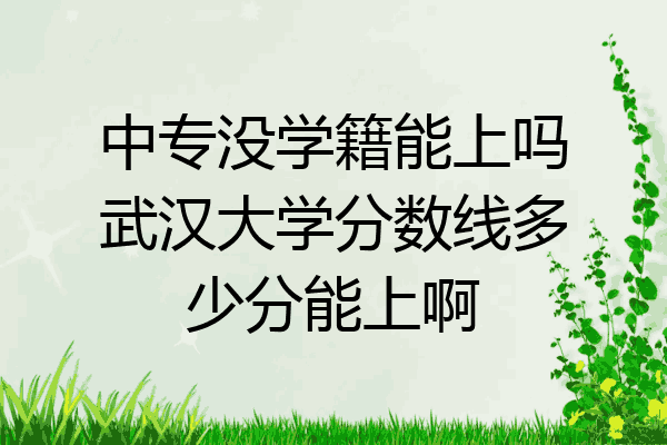 中专没学籍能上吗武汉大学分数线多少分能上啊