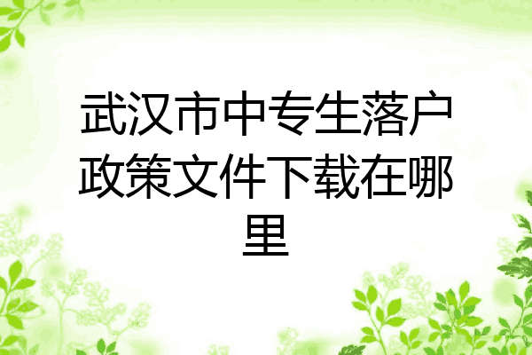 武汉市中专生落户政策文件下载在哪里