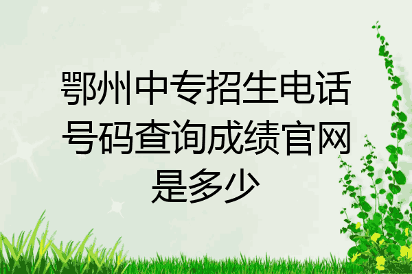 鄂州中专招生电话号码查询成绩官网是多少
