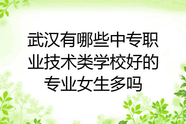 武汉有哪些中专职业技术类学校好的专业女生多吗