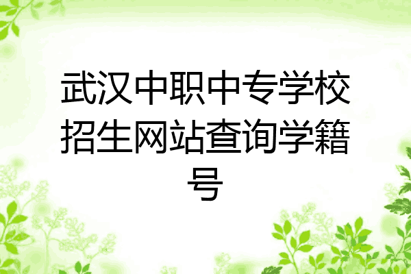 武汉中职中专学校招生网站查询学籍号