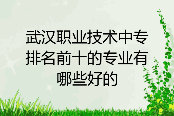 武汉职业技术中专排名前十的专业有哪些好的