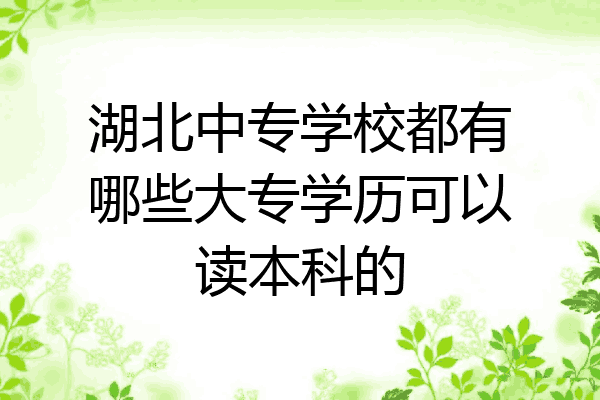 湖北中专学校都有哪些大专学历可以读本科的