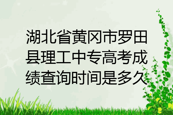 湖北省黄冈市罗田县理工中专高考成绩查询时间是多久
