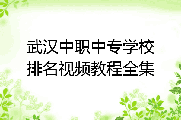 武汉中职中专学校排名视频教程全集