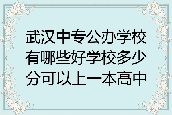 武汉中专公办学校有哪些好学校多少分可以上一本高中