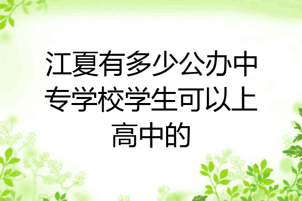 江夏有多少公办中专学校学生可以上高中的