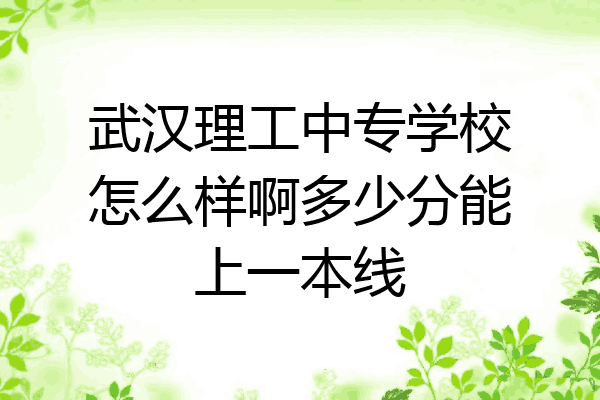 武汉理工中专学校怎么样啊多少分能上一本线