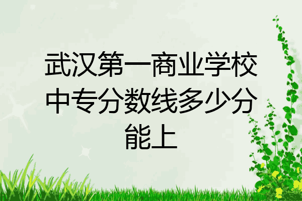 武汉第一商业学校中专分数线多少分能上