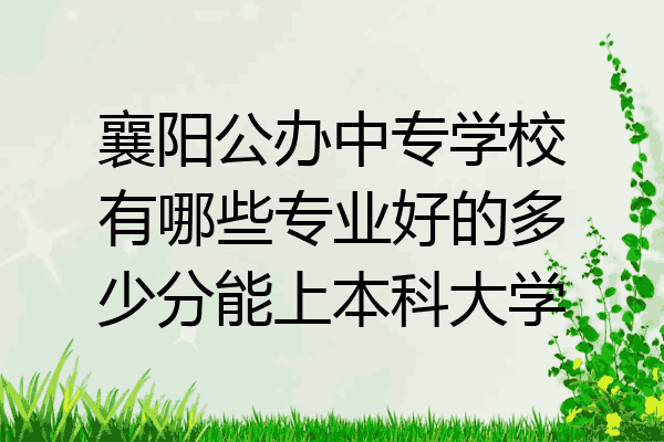 襄阳公办中专学校有哪些专业好的多少分能上本科大学