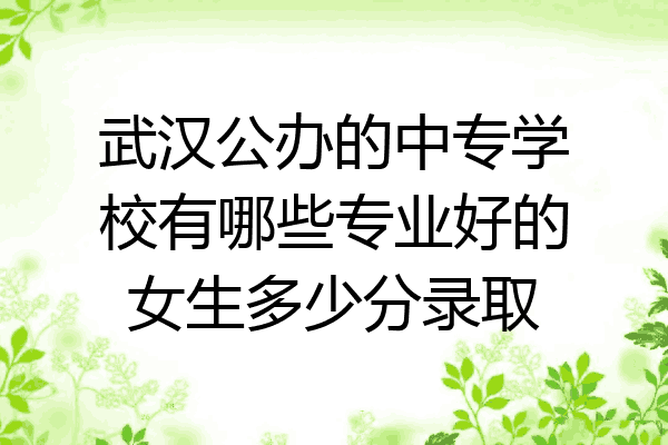 武汉公办的中专学校有哪些专业好的女生多少分录取
