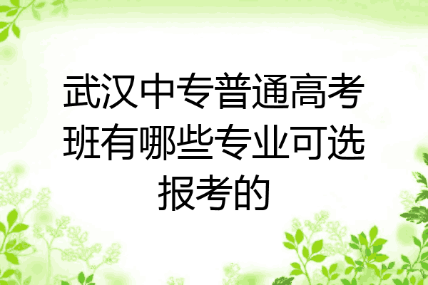 武汉中专普通高考班有哪些专业可选报考的