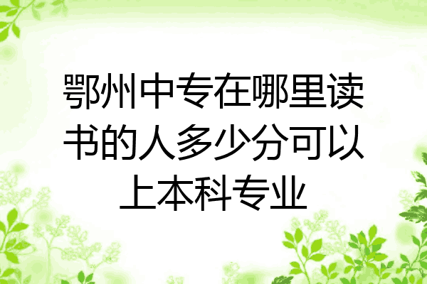 鄂州中专在哪里读书的人多少分可以上本科专业
