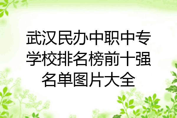 武汉民办中职中专学校排名榜前十强名单图片大全