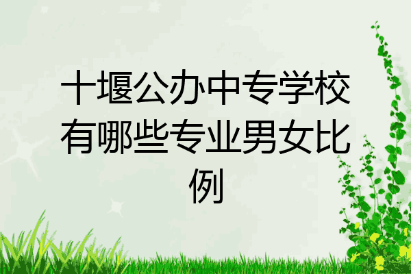 十堰公办中专学校有哪些专业男女比例