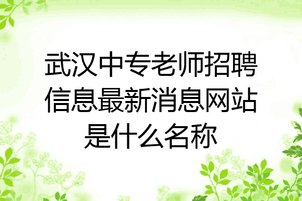 武汉中专老师招聘信息最新消息网站是什么名称