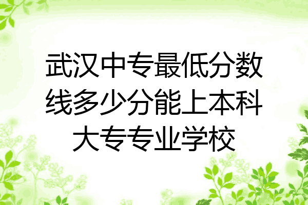 武汉中专最低分数线多少分能上本科大专专业学校