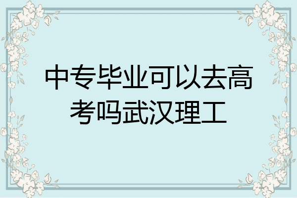 中专毕业可以去高考吗武汉理工