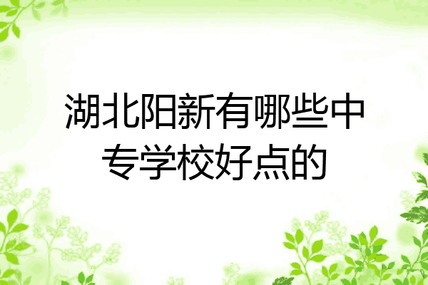 湖北阳新有哪些中专学校好点的