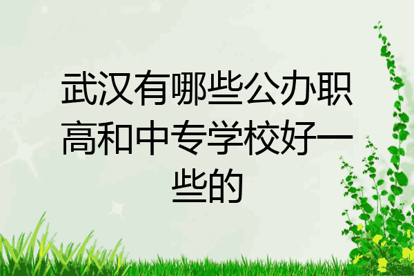武汉有哪些公办职高和中专学校好一些的